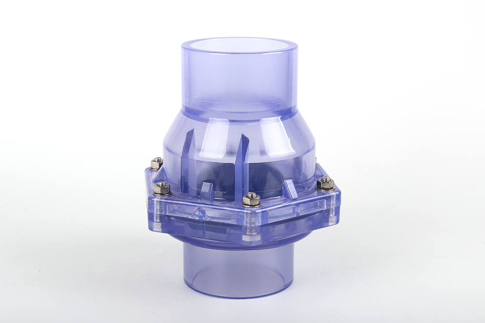 山海关透明翻板式止回阀